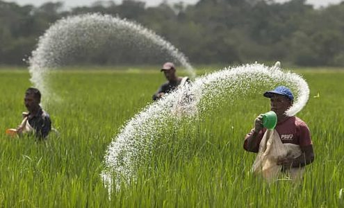 Trusted Source Badge