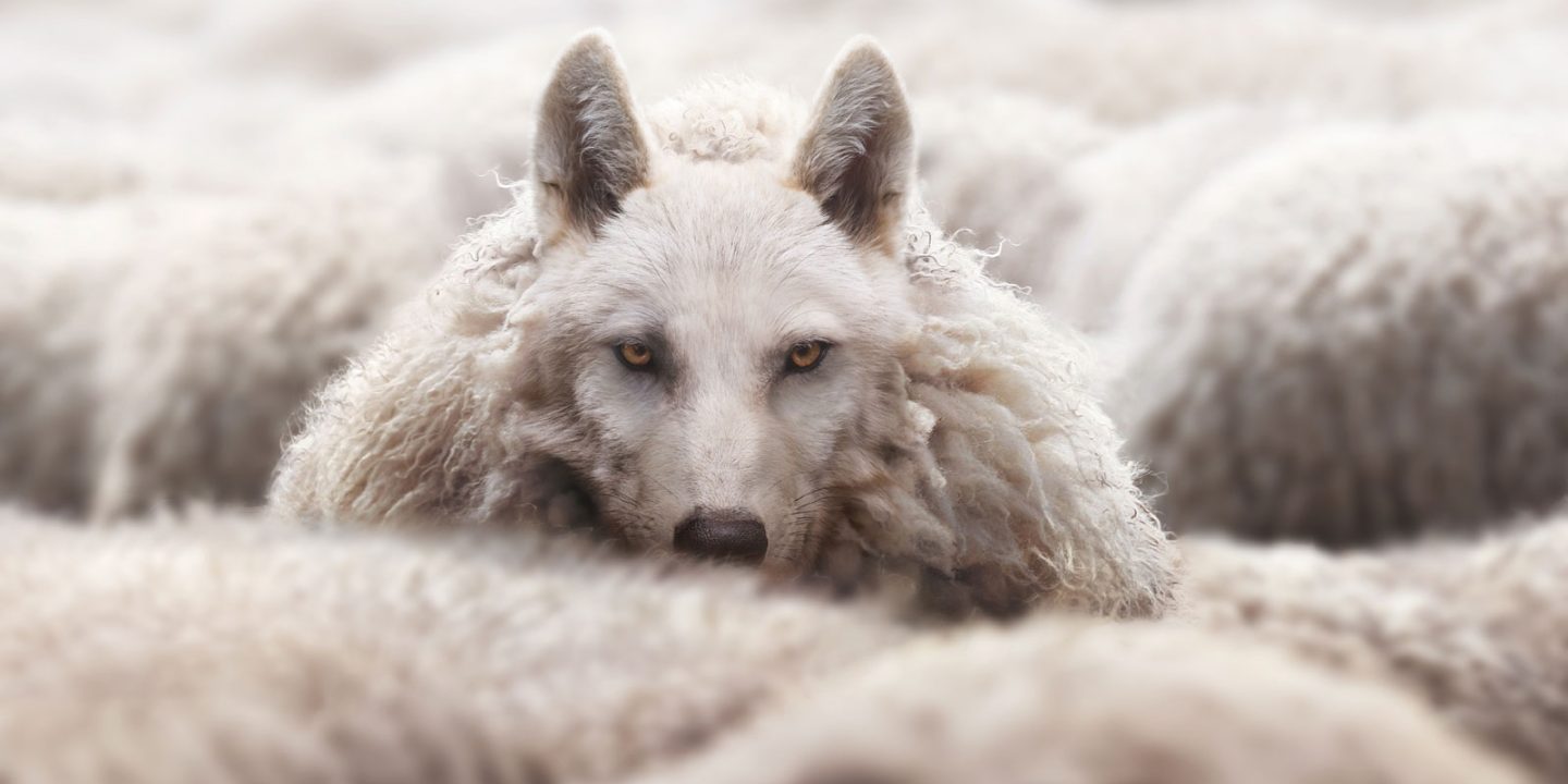 Google’s Mueller On SEO Gurus Who Are “Clueless Imposters”