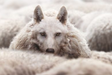 Google’s Mueller On SEO Gurus Who Are “Clueless Imposters”