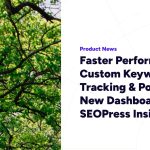 Faster Performance, Custom Keyword Tracking & Powerful New Dashboard – SEOPress Insights 3.0