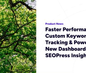 Faster Performance, Custom Keyword Tracking & Powerful New Dashboard – SEOPress Insights 3.0