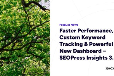 Faster Performance, Custom Keyword Tracking & Powerful New Dashboard – SEOPress Insights 3.0