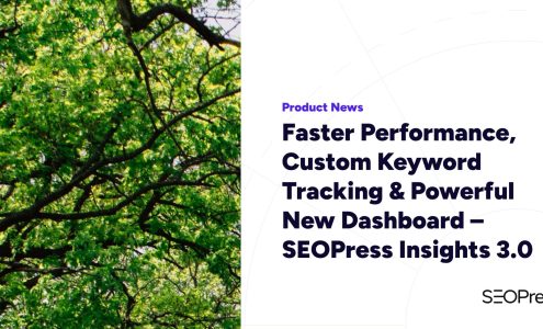 Faster Performance, Custom Keyword Tracking & Powerful New Dashboard – SEOPress Insights 3.0