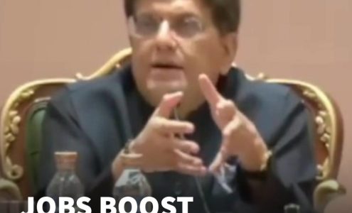 India Emerging As Global Manufacturing Hub, Says Piyush Goyal