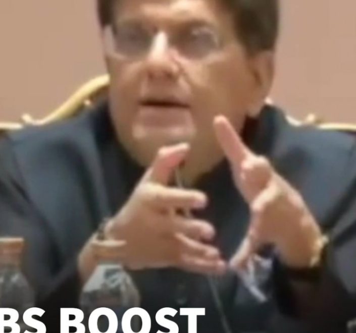 India Emerging As Global Manufacturing Hub, Says Piyush Goyal