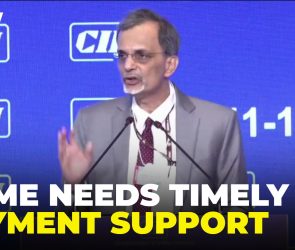 CEA Nageswaran Urges Large Firms To Ensure Timely Payments To MSMEs, Ease Working Capital Stress