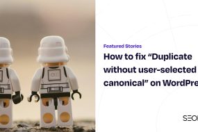 How to fix “Duplicate without user-selected canonical” on WordPress