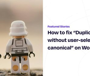How to fix “Duplicate without user-selected canonical” on WordPress
