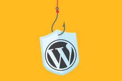 MonsterInsights Website Compromised And Sending Phishing Emails