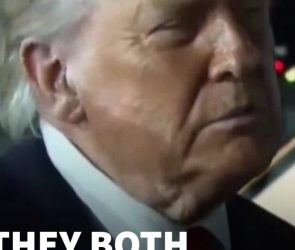 "Now They’ve Called It Quits": Trump Says Israel & Iran Agreed Through Him To Halt Strikes