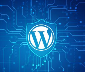 WordPress Announces Initiative To Secure All Plugins And Themes