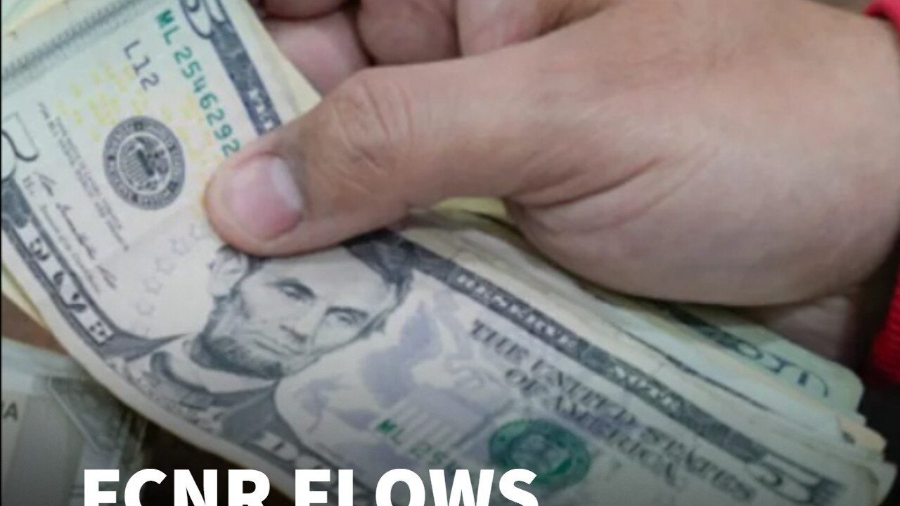 FCNR Inflows Could Hit $70 Billion! Kotak Securities Sees Big Boost For Rupee | Anindya Banerjee